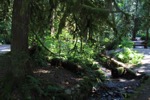 resIMG_20170711_162642_8473.JPG